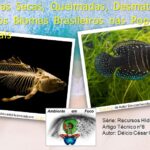 Ambiente em foco agua 8