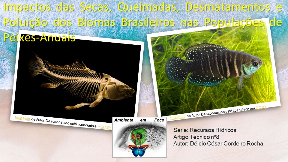 Ambiente em foco agua 8