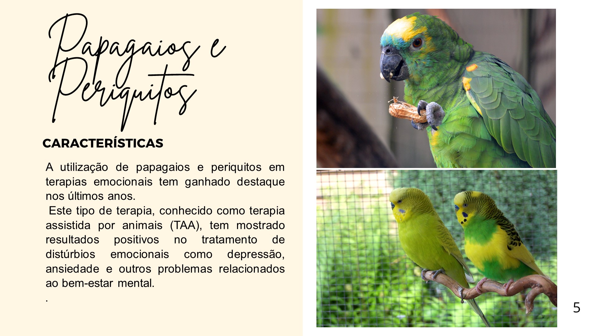 Slide6
