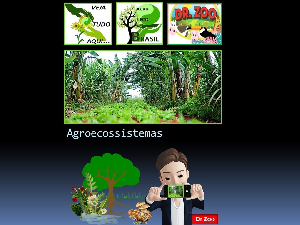 agroecossitemas logo